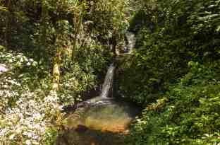 wasserfall- Monteverde-1