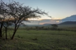 Ngorongoro Area bei Nasera Rock-2017-1-2