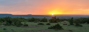 Antilopen Masai mara Sonnenaufgang 2018-2-2