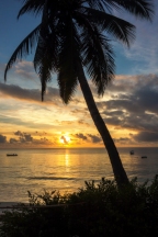 Sonnenaufgang Nyali-Beach u palme 2018-4-3