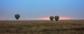 Serengeti u Balon 2019_2-2